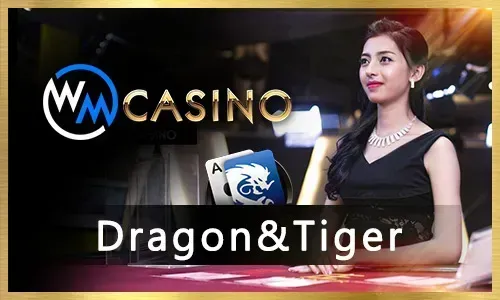 Bingo Winning Strategies for taya365
